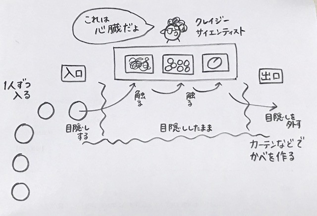 ■アメリカの小学校授業で人気な、ハロウィンのゲーム【クレイジーな科学者】の準備